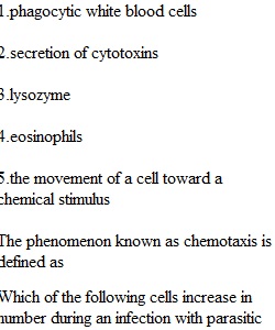 Exam 4